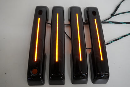 2021 & Up F-150 Light-Up Door Handles - Precision Retrofits